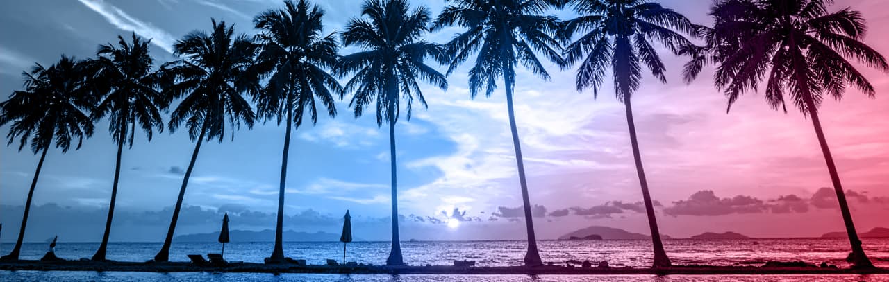 ヤシの木が並ぶ海沿い